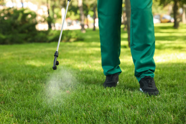 Best Local Pest Control Services  in Walford, IA