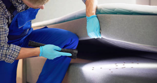 Best Termite Control Services  in Walford, IA